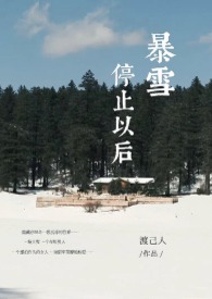 暴雪停止更新